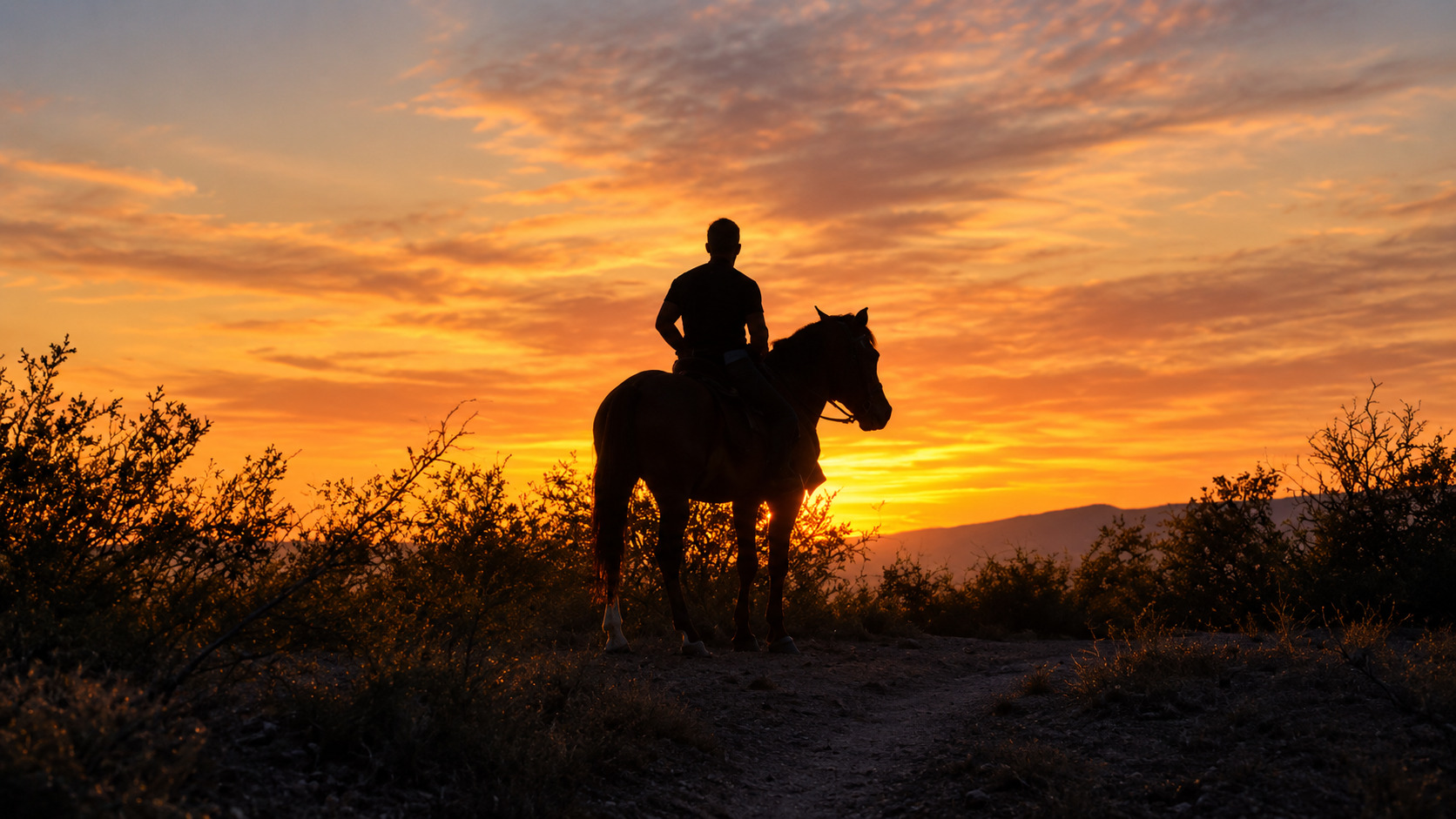 Cabalgata al atardecer en Lunlunta, Mendoza — asado criollo incluido — imagen 28