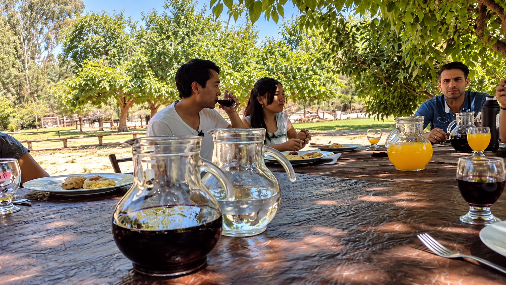 Cabalgata criolla en Lunlunta, Mendoza — 2 horas y almuerzo típico — imagen 9