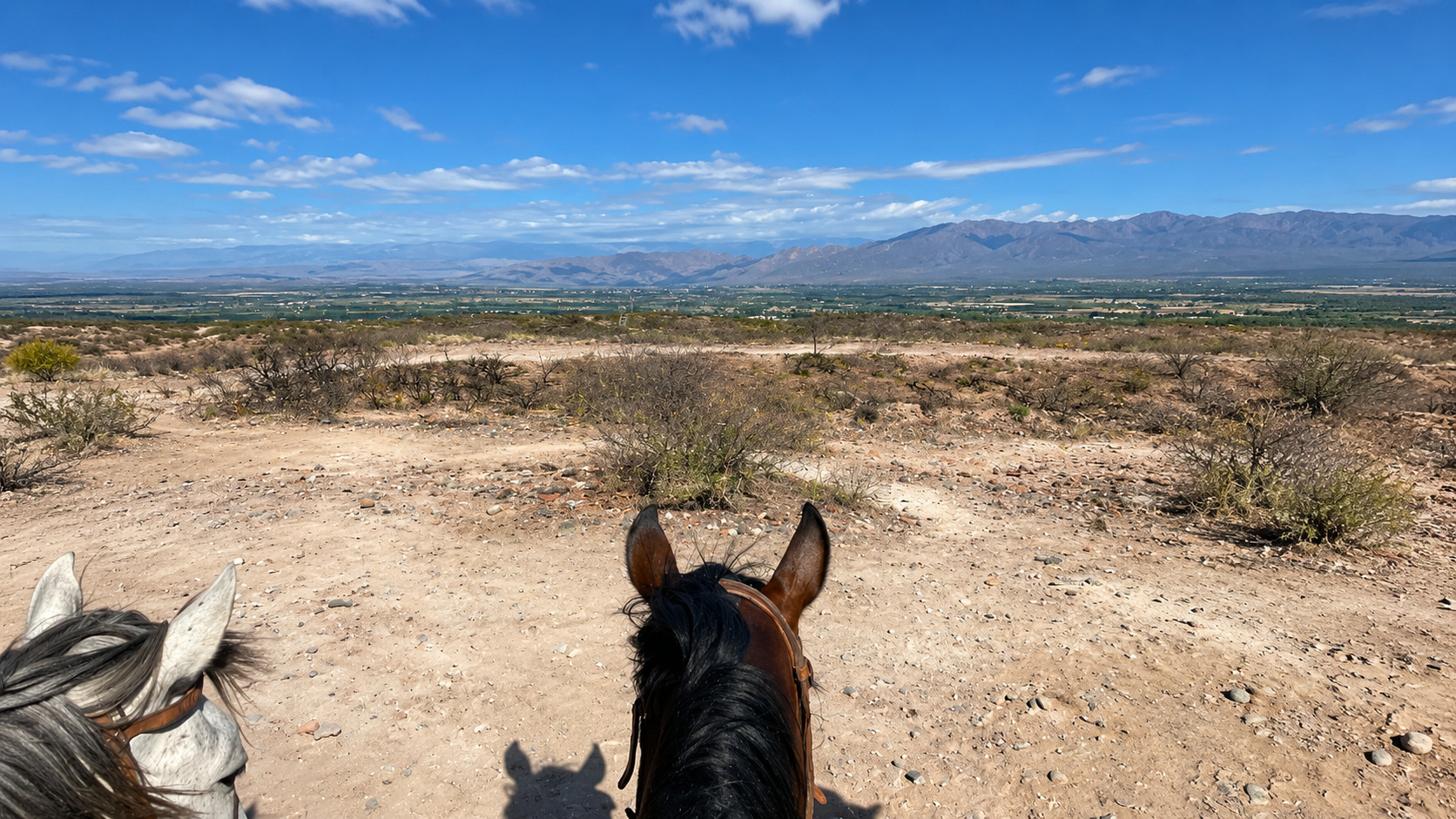 Cabalgata criolla en Lunlunta, Mendoza — 2 horas y almuerzo típico — imagen 20