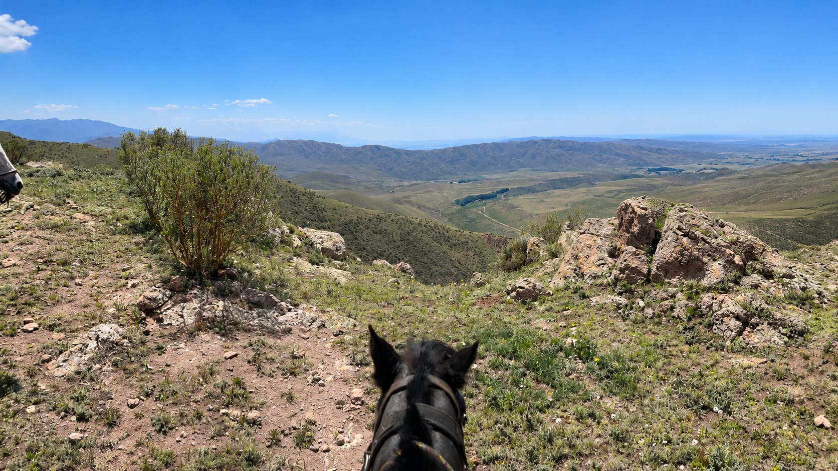 Cabalgata en Quebrada del Cóndor y Valle de Uco — almuerzo criollo — imagen 17