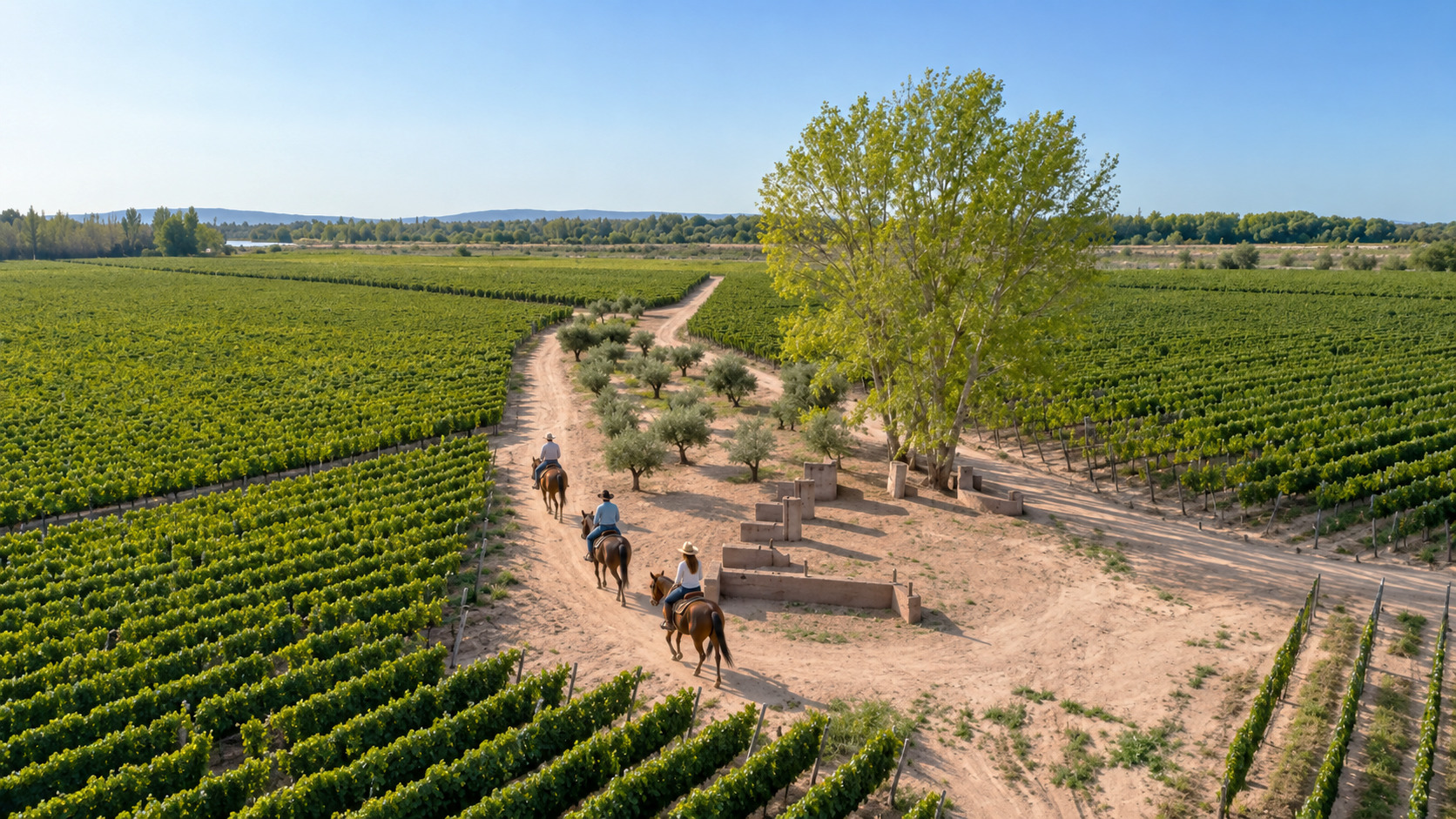 Cabalgata entre viñedos en Mendoza con almuerzo gourmet y maridaje — imagen 30