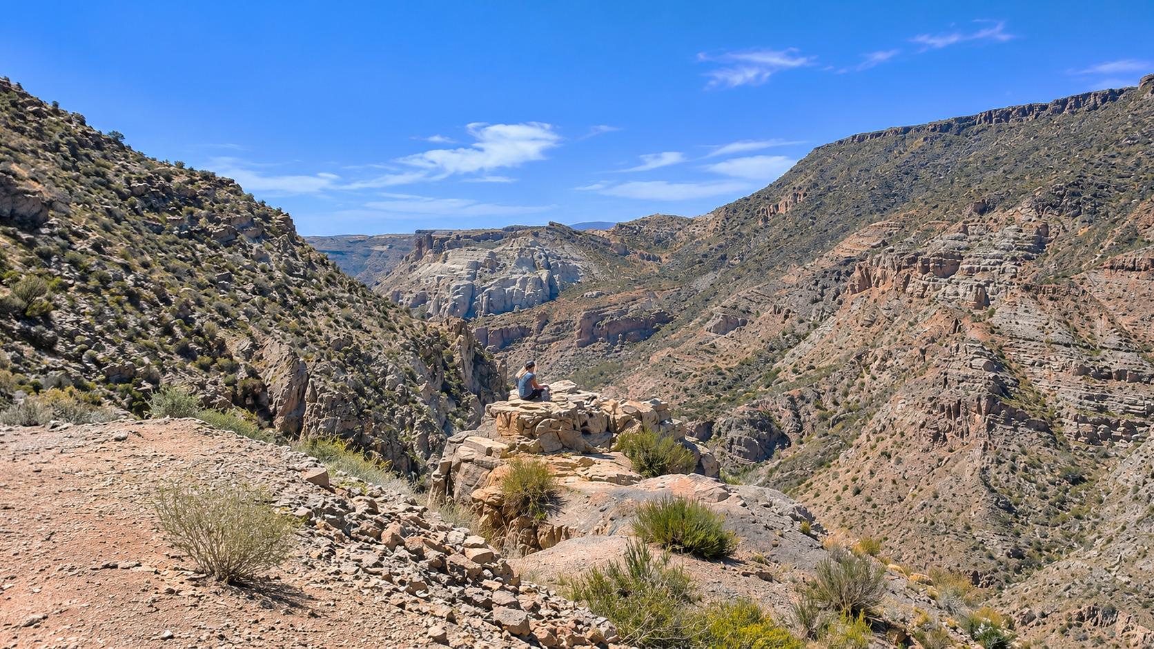 Excursión al Cañón del Atuel y San Rafael desde Mendoza — día completo — imagen 10