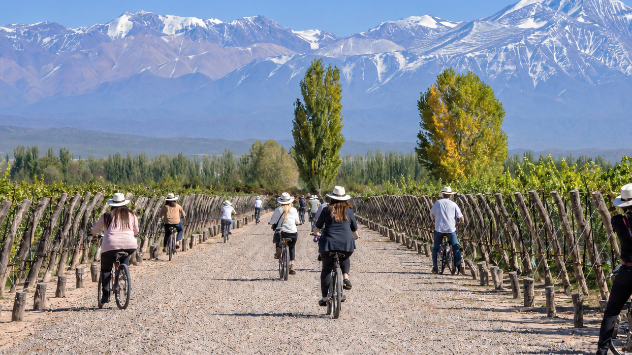 Tour en bicicleta por bodegas de Luján de Cuyo — vinos y almuerzo — imagen 3