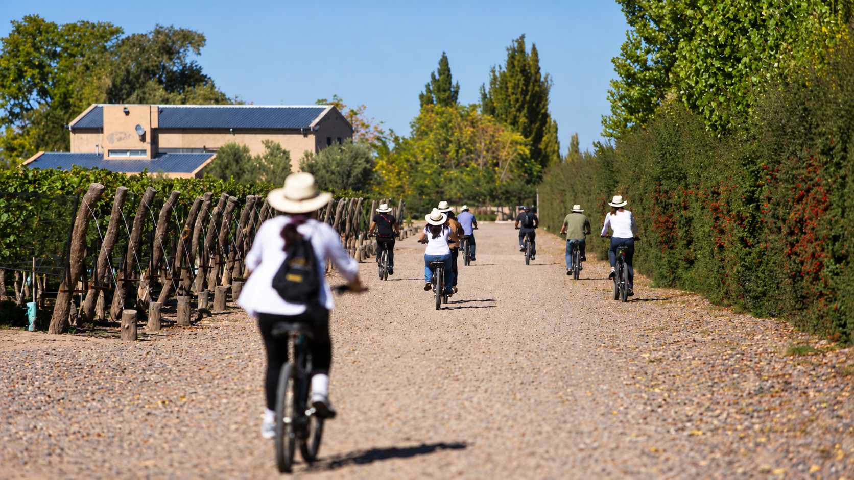 Tour en bicicleta por bodegas de Luján de Cuyo — vinos y almuerzo — imagen 16