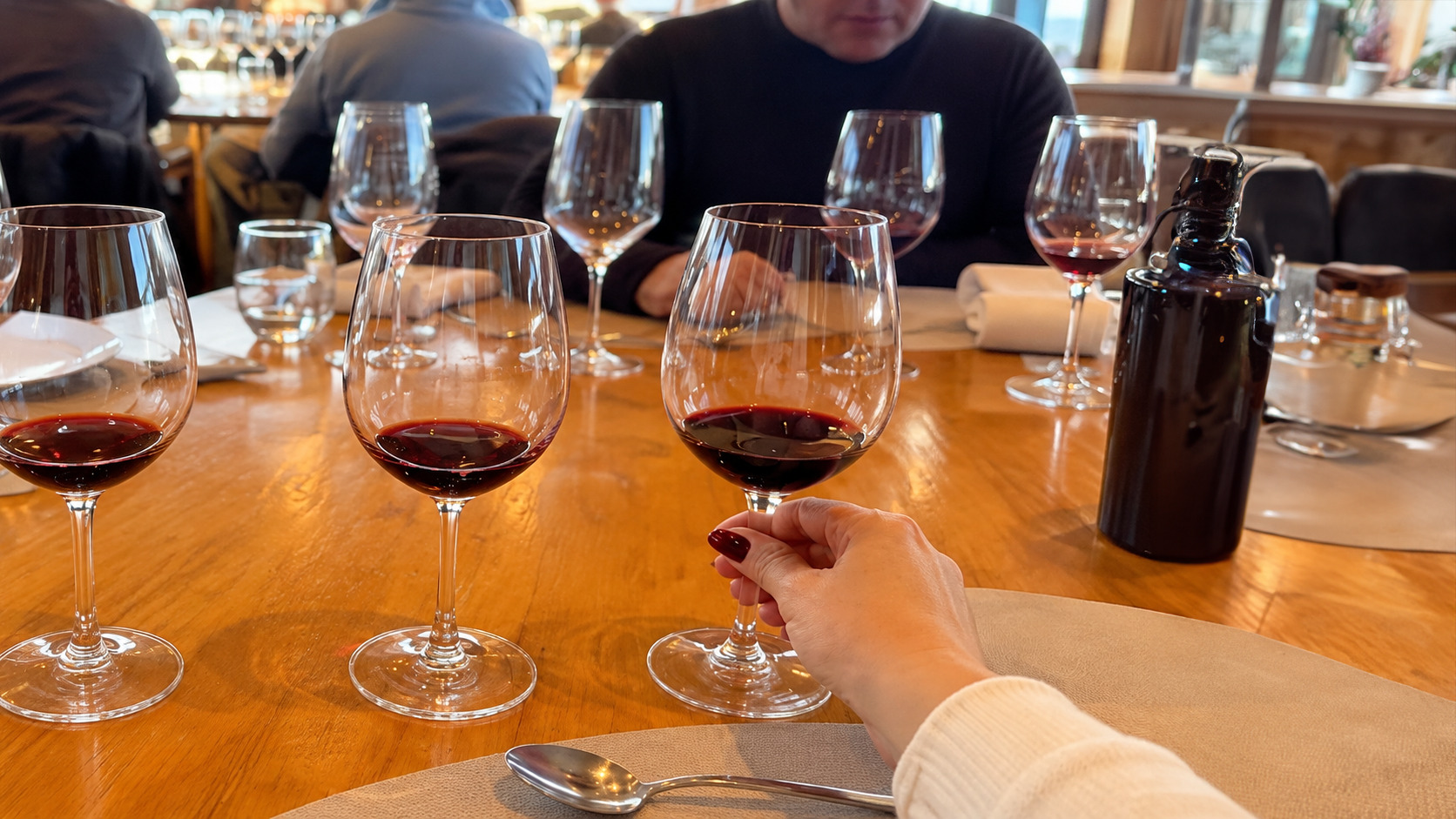 Tour en bicicleta por bodegas de Luján de Cuyo — vinos y almuerzo — imagen 2
