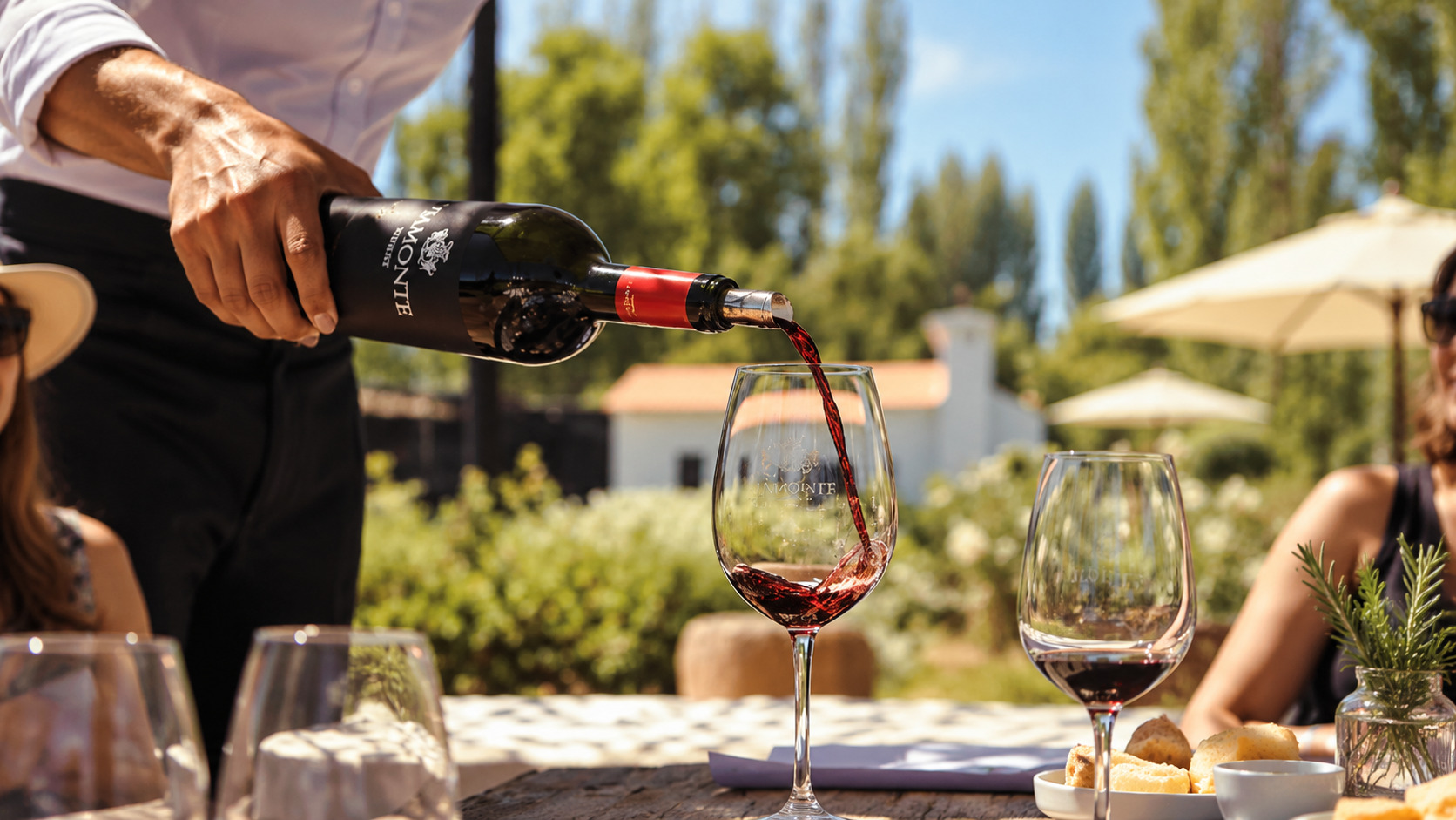 Tour en bicicleta por bodegas de Luján de Cuyo — vinos y almuerzo — imagen 17