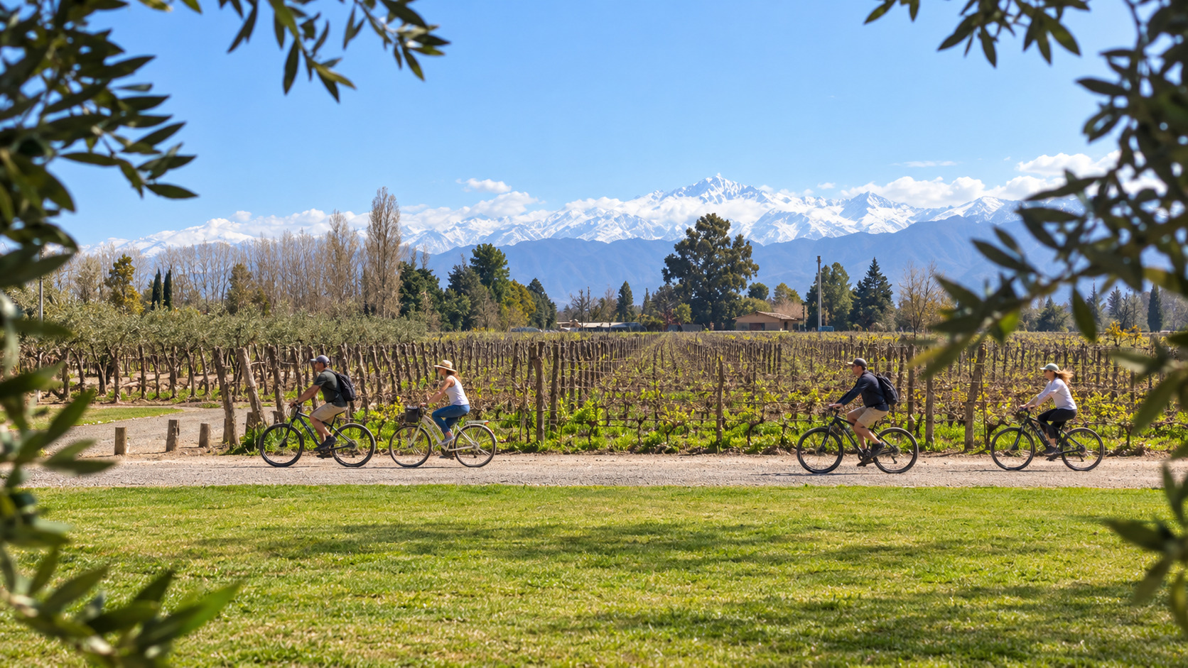 Tour en bicicleta por bodegas de Luján de Cuyo — vinos y almuerzo — imagen 24