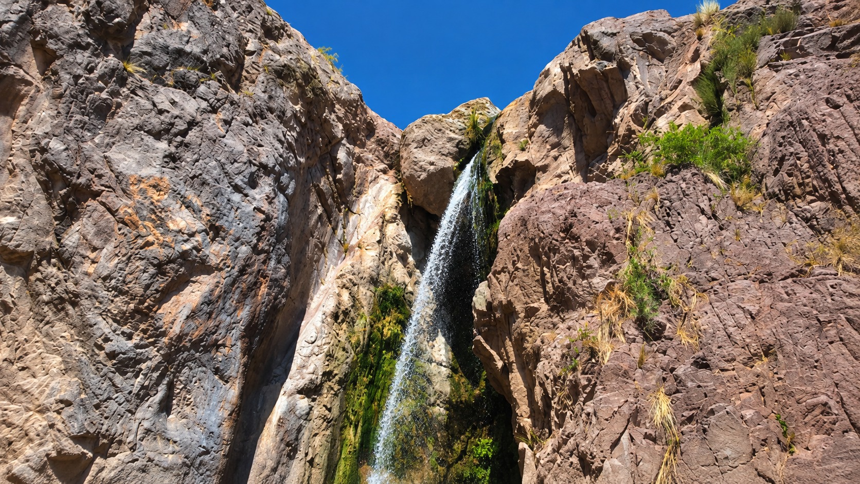 Trekking al Cerro Cabras en Potrerillos, Mendoza — cumbre a 2.160 m — imagen 25