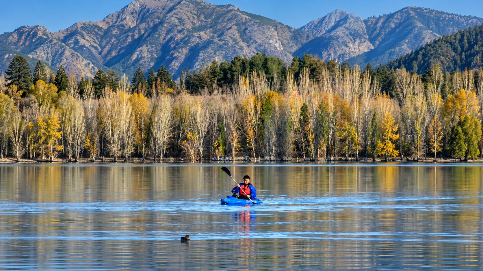 Travesía en kayak por el Dique Potrerillos, Mendoza — 2 horas guiadas — imagen 26