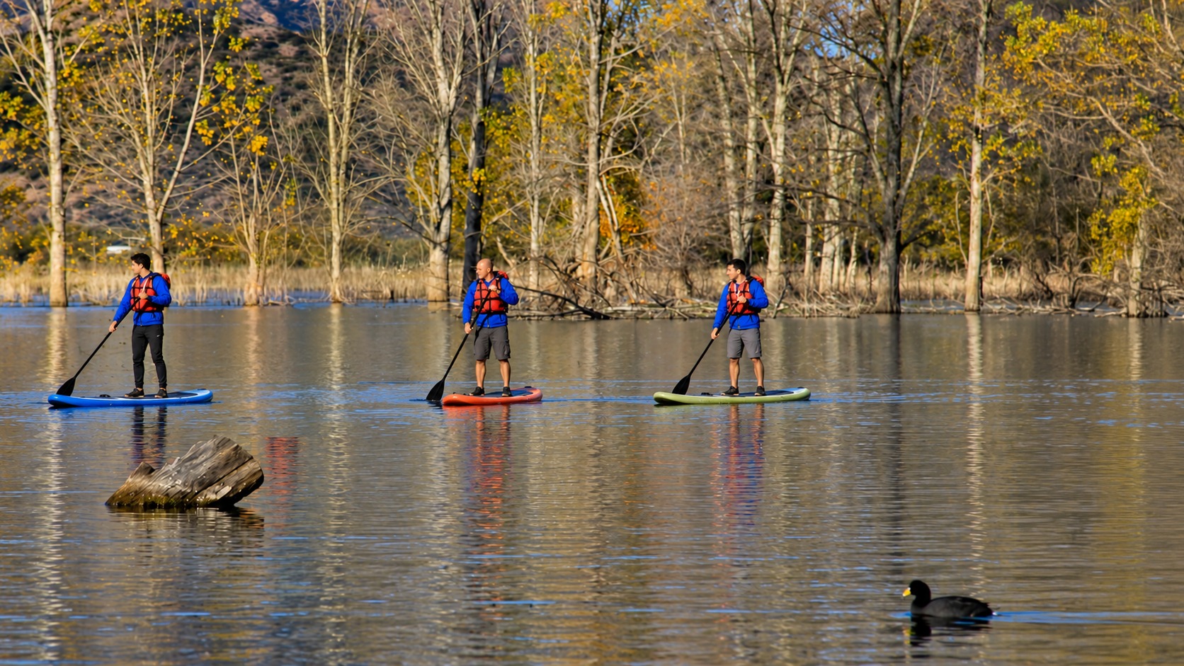 Stand up paddle (SUP) en Dique Potrerillos, Mendoza — 90 min guiados — imagen 6