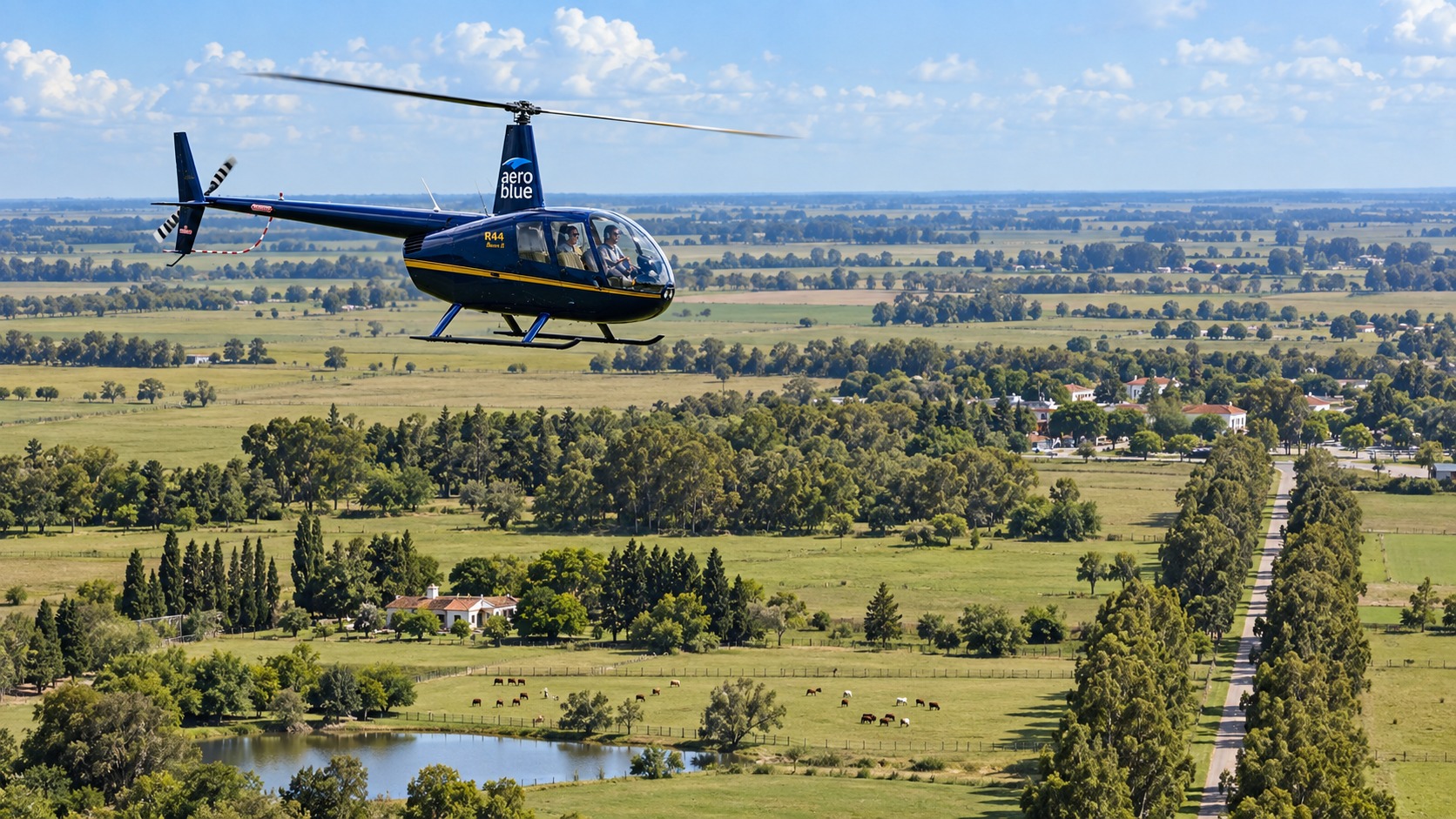 Día de campo en helicóptero hasta Luján con asado — hasta 3 personas — imagen 25