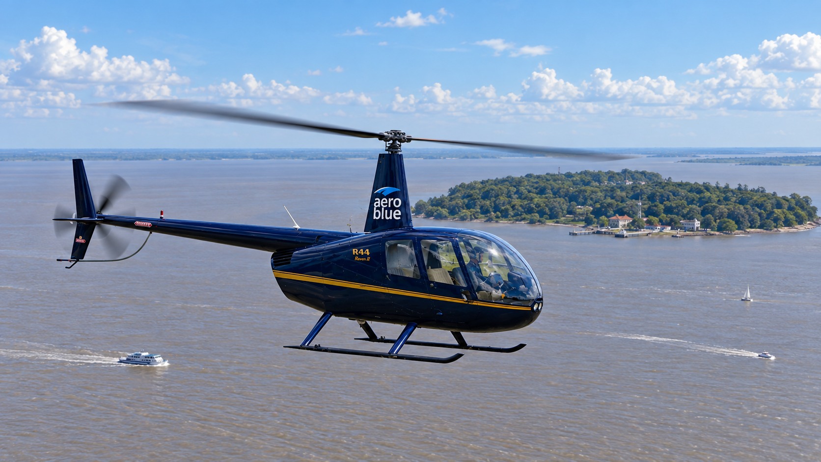 Excursión en helicóptero a Isla Martín García — hasta 3 pasajeros — imagen 14