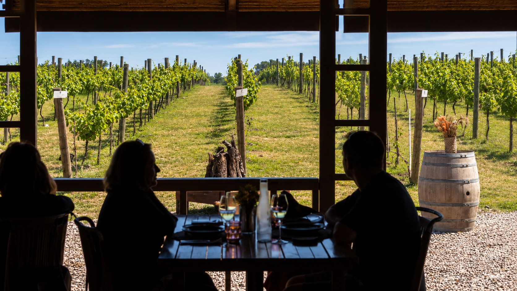 Helicóptero a Bodega Gamboa con almuerzo y cata de vino — hasta 3 pers — imagen 27